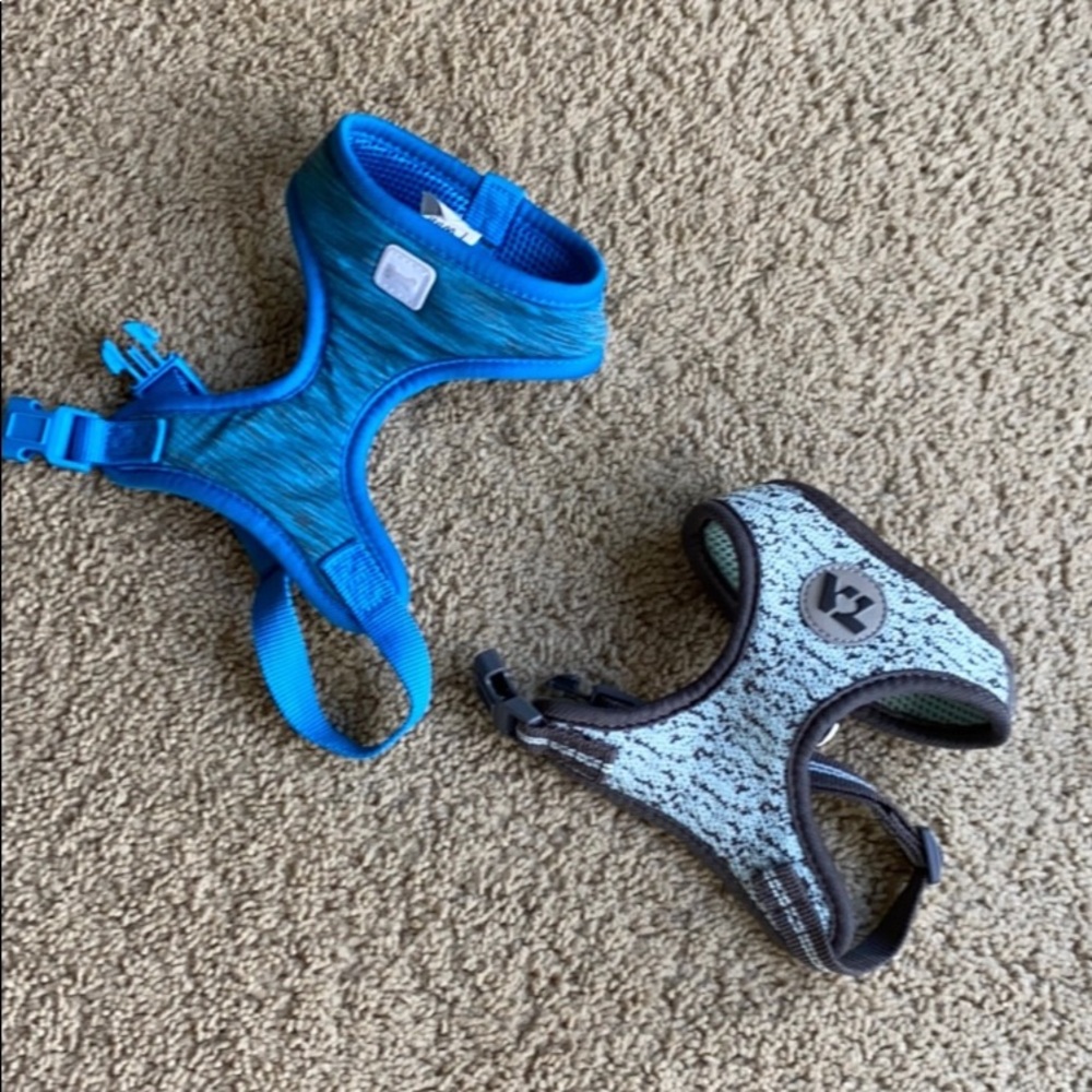 🐕 XS‎ 2 Dog collars